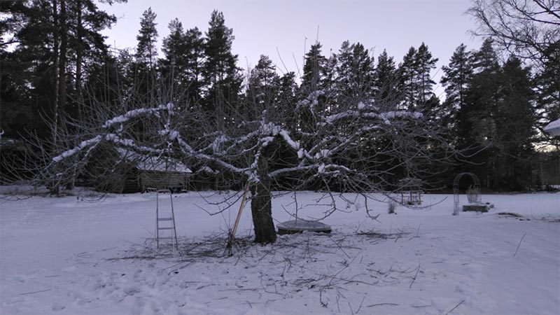 Tjänster